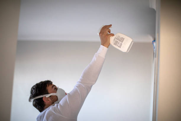 Best Mold Damage Repair  in Long Beach, CA