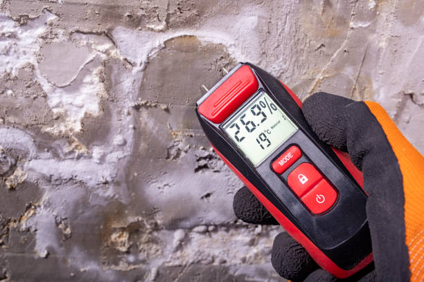 Best Residential Mold Removal  in Long Beach, CA