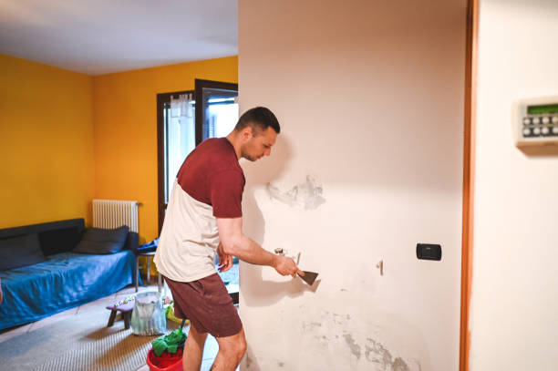 Best Mold Remediation  in Long Beach, CA
